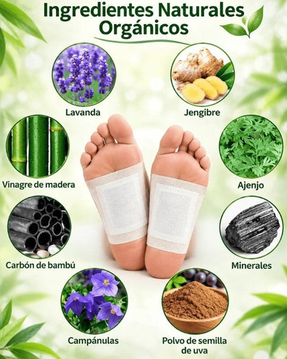 KinokiDetox™